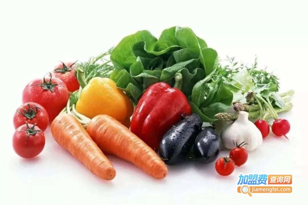 果蔬易购加盟费