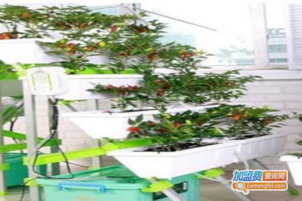 植彩坊智能家庭园艺机