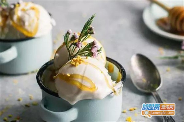 张小斌手工榴莲雪糕加盟费