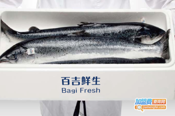 百吉鲜生加盟费