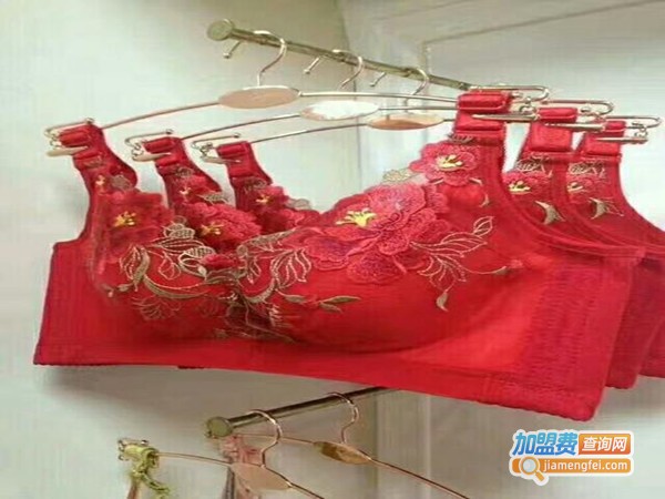 安缇内衣加盟费