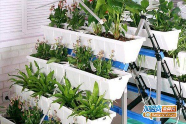 植彩坊智能家庭园艺机