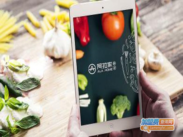 阿拉家鲜生加盟费