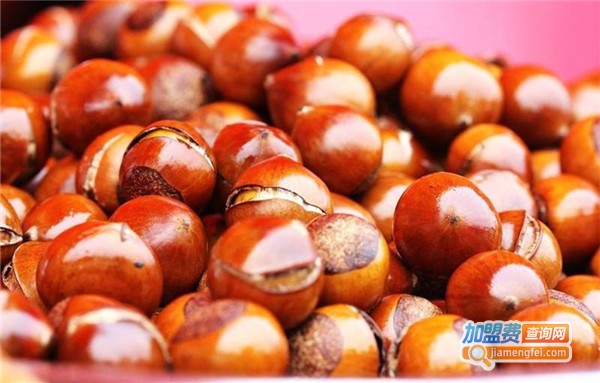 王记粟子加盟费