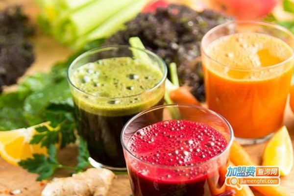 谷蔬果功能养生饮吧加盟费