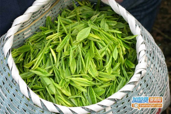 新隆茶业加盟费