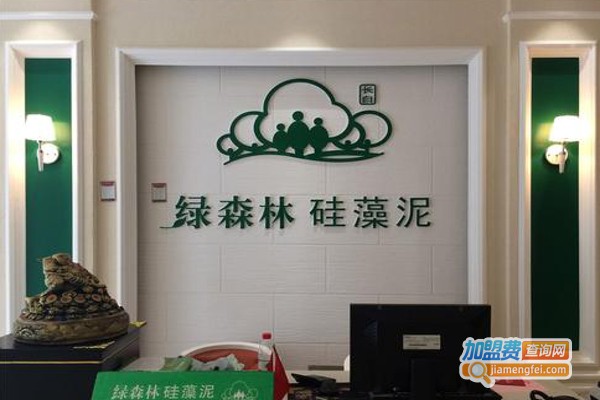 绿森林墙饰加盟