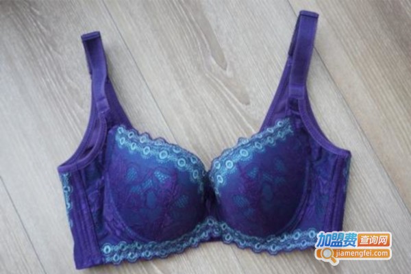 莎娜美内衣加盟费