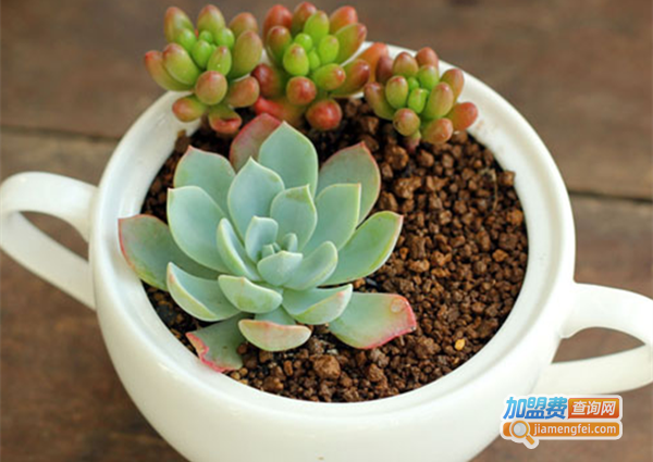 小花坊饰品加盟费