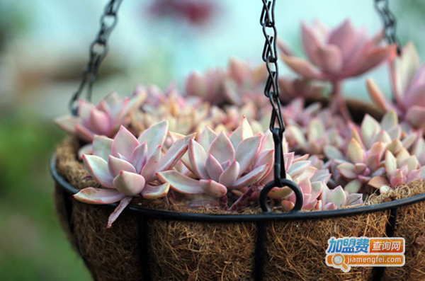 小花坊饰品加盟费