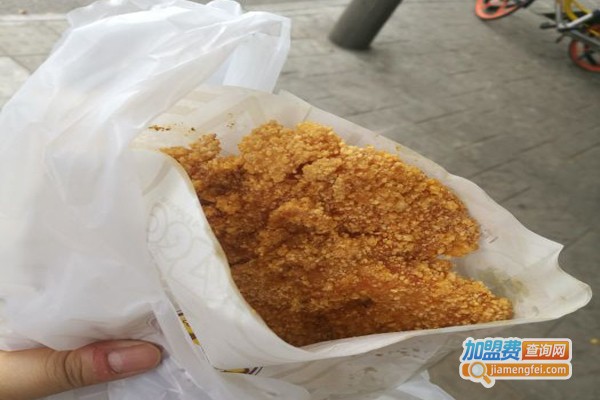 176°C炸鸡排加盟