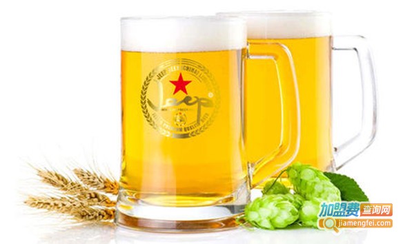 吉普生啤加盟费