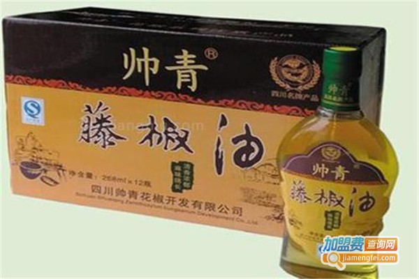 帅青调味品加盟费