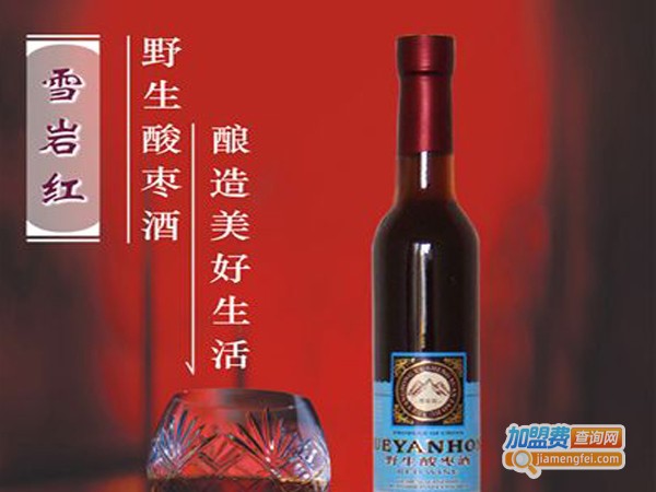 雪岩红野生果酒加盟费