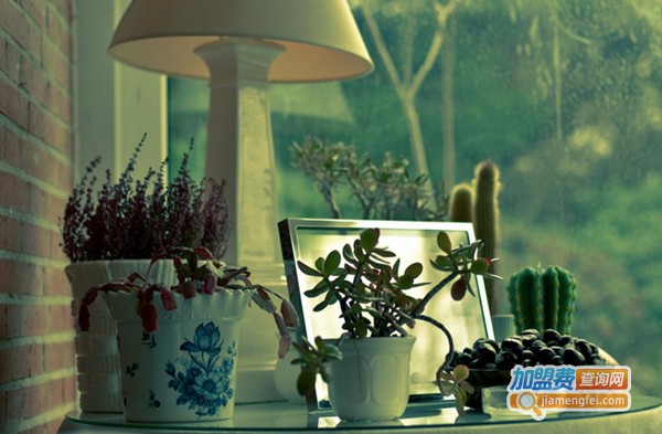 陶我所爱家居饰品加盟