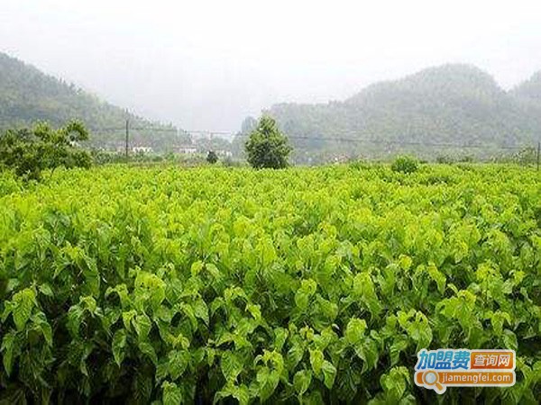 丝路秘语葡萄酒加盟店