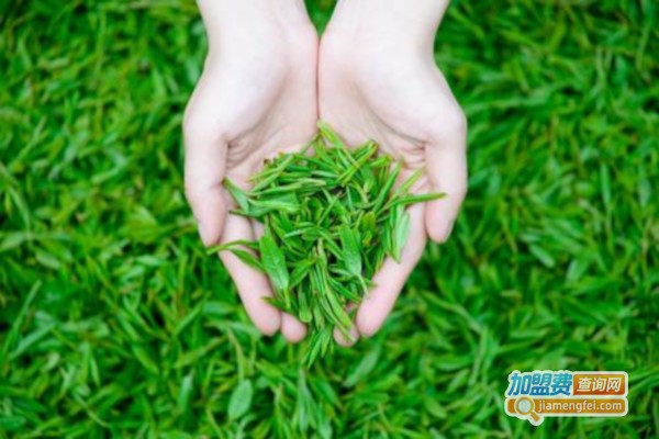 紫韵茶叶加盟费