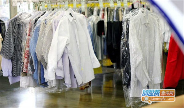 优尼干洗加盟费