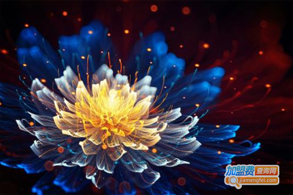 数虎图像加盟费