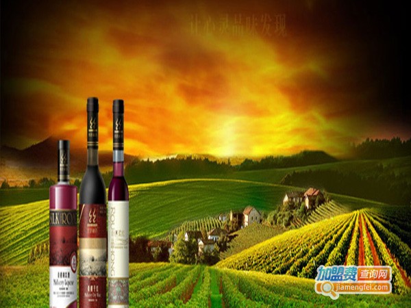 丝路秘语葡萄酒加盟店