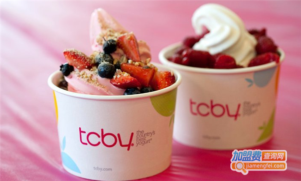 TCBY美国酸奶冰淇淋加盟费