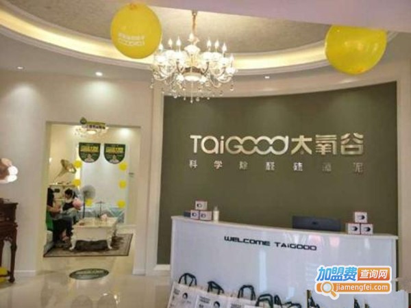 太氧谷墙饰加盟费