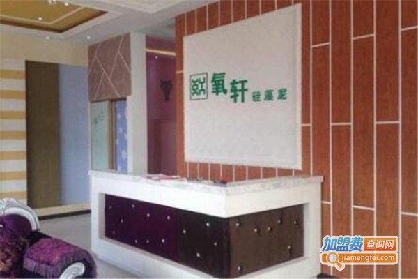 氧轩硅藻泥加盟费