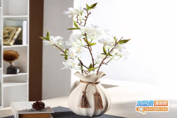 微趣家居饰品加盟费