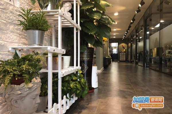 大象创意思维绘馆加盟费