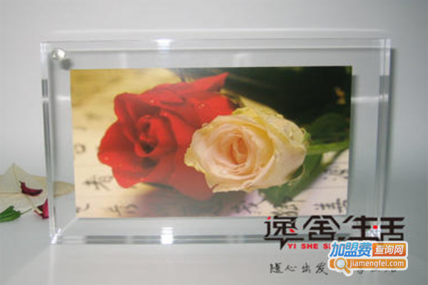 逸舍生活加盟费