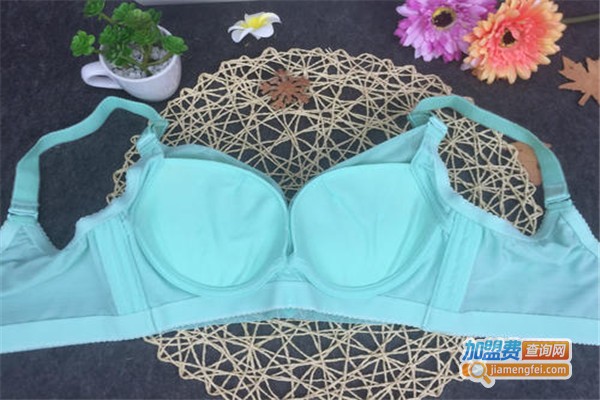 蝶依内衣加盟费