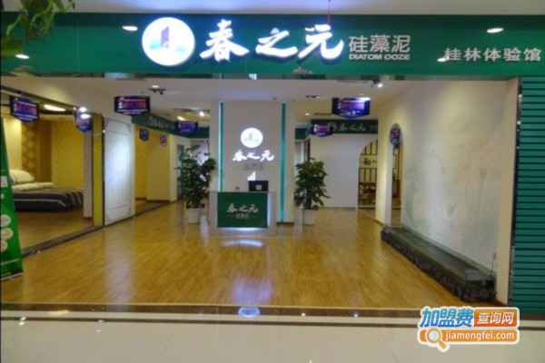 春之元墙饰加盟费