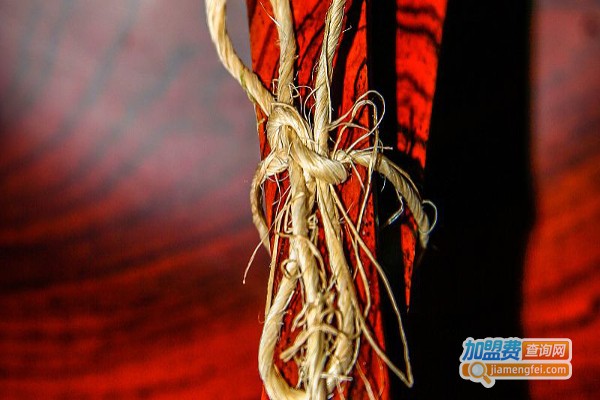 正官庄人参加盟