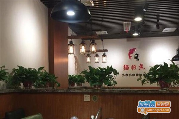 猫怕鱼木桶喷泉火锅加盟费