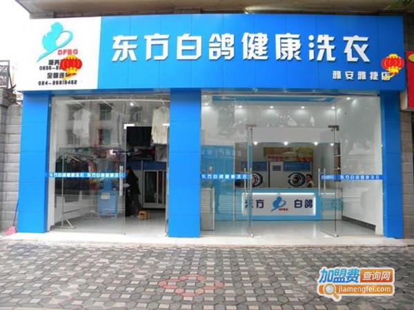 东方白鸽洗衣加盟费