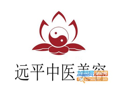 远平中医美容加盟费