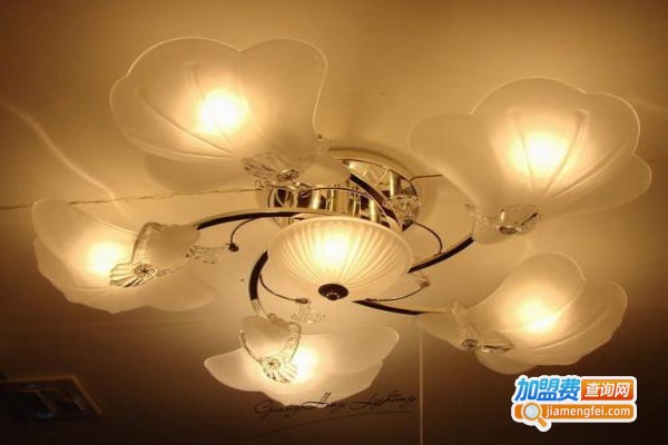 圣莫丽斯灯饰加盟