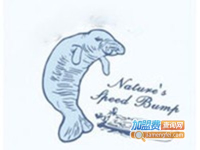 海豹干洗加盟费