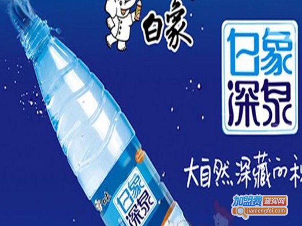 白象牛奶饮品加盟店