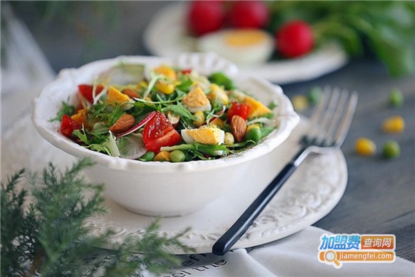 森度轻食沙拉店加盟费