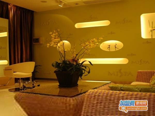 麦莎美容spa加盟
