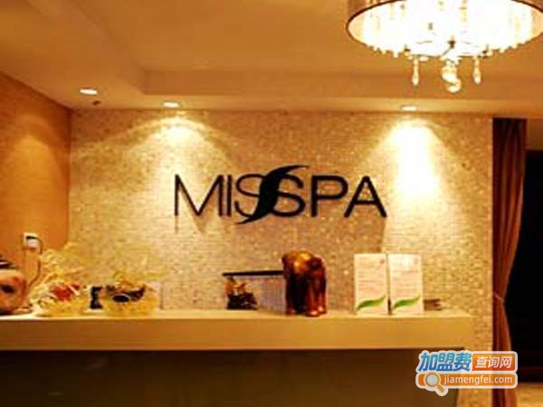 麦莎美容spa加盟费