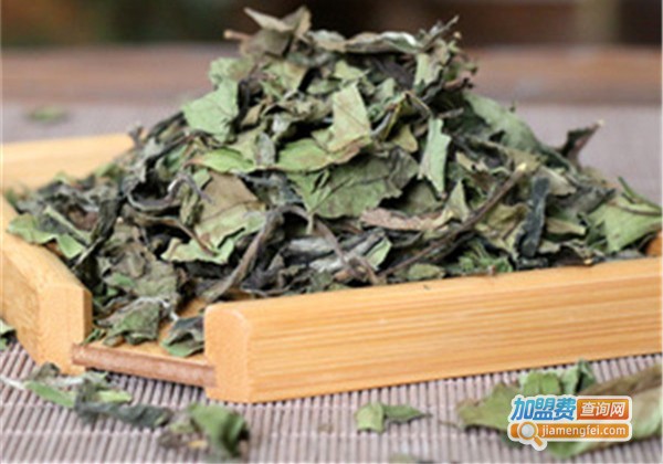 福鼎老茶镇白茶加盟店