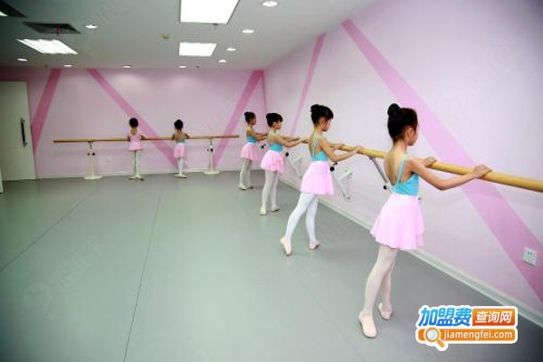 向氏舞蹈加盟费