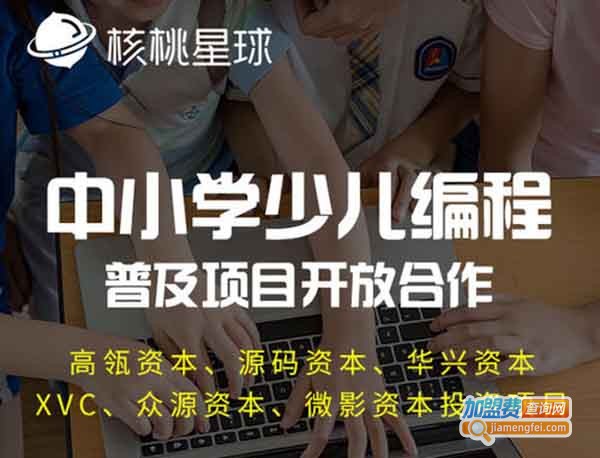 核桃星球加盟费