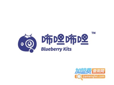 咘哩咘哩电子积木加盟费