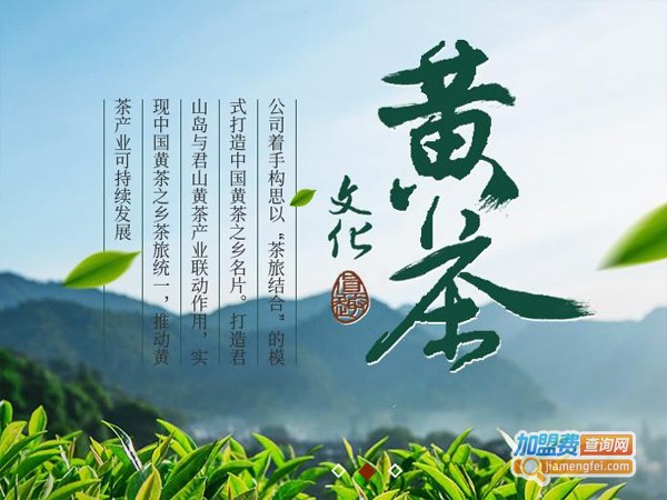 君山银针茶叶加盟店