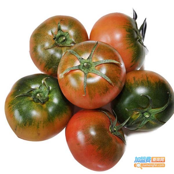 果然鲜水果店加盟费