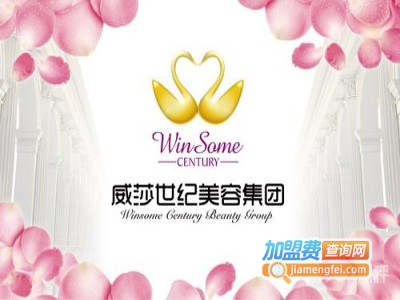 威莎世纪美容加盟