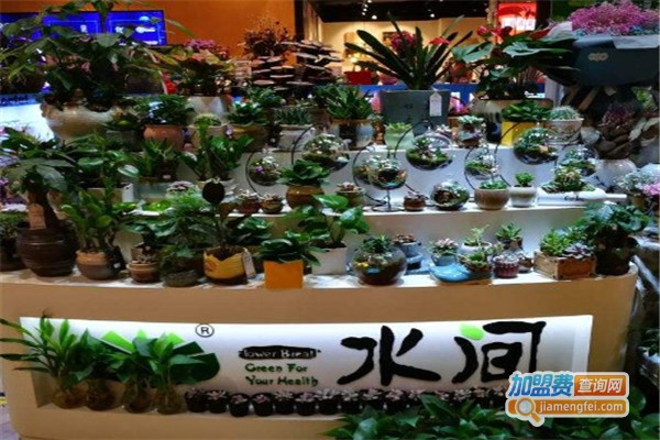 一水间花店加盟费